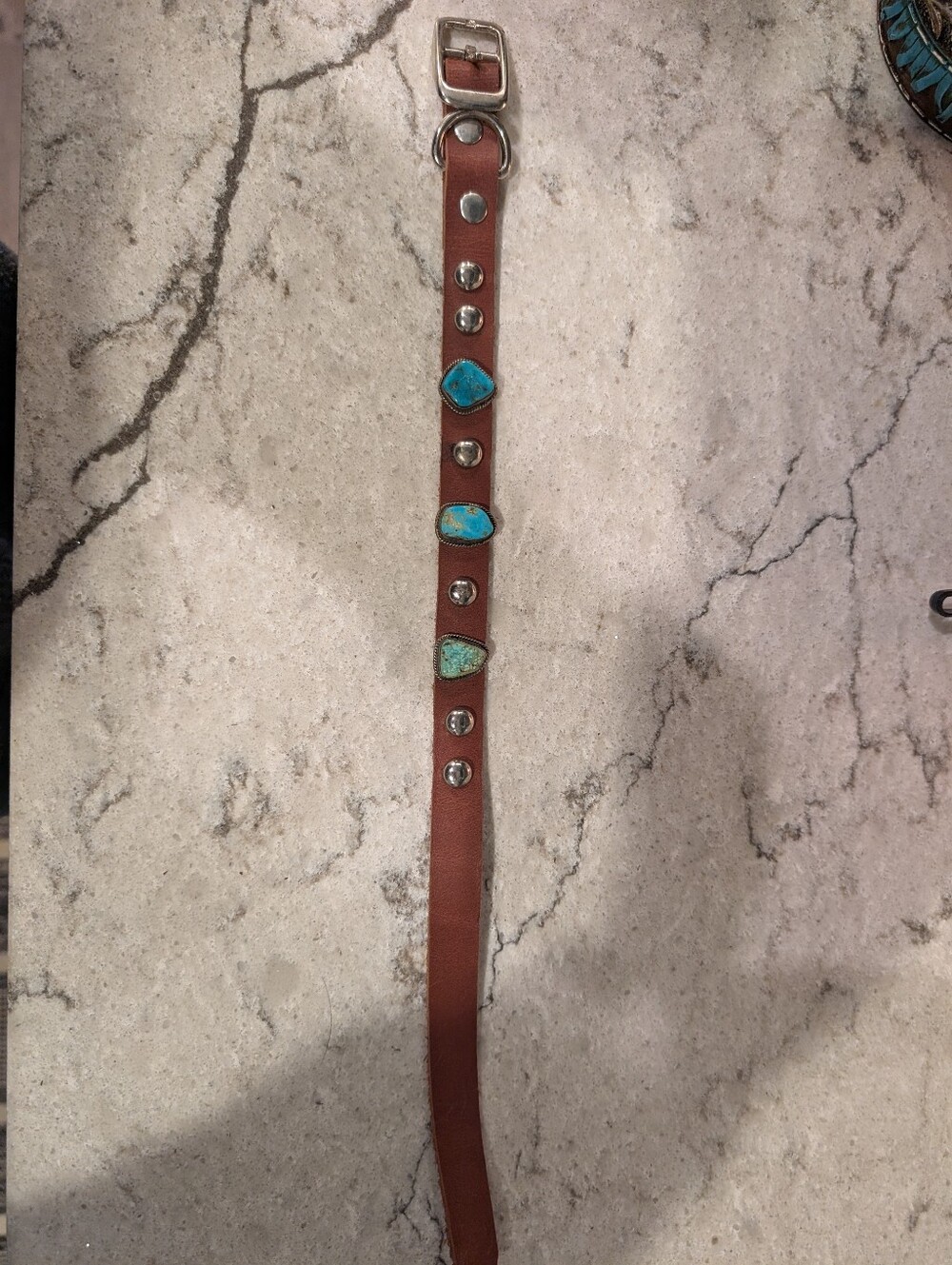 Brand New Turquoise Dog Collar